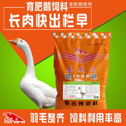 育肥鹅饲料添加剂生产厂家 鹅育肥后期育肥饲料