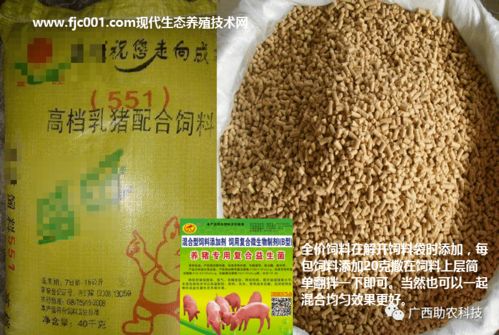 养猪专用复合益生菌,酶 菌融合预消化技术典型代表产品,养猪低成本生态健康养殖更好更专业复合益生微生物制剂产品