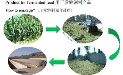 供应用玉米秸秆喂牛的秸秆发酵剂在哪里买