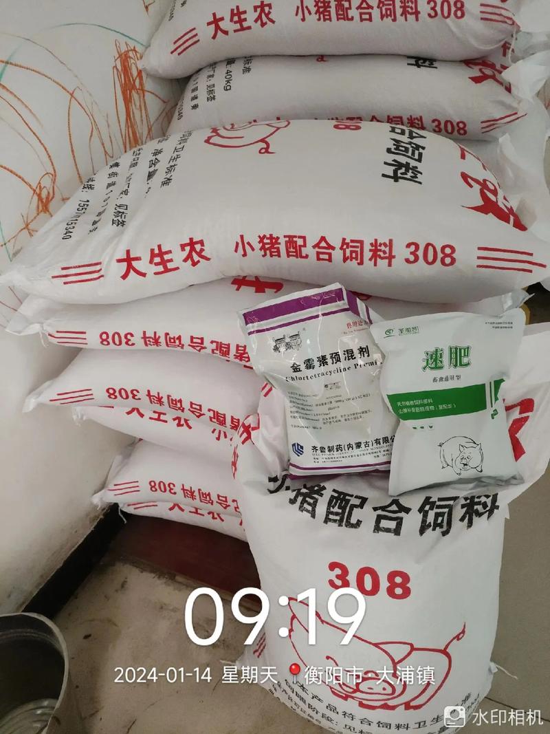 衡东大浦谷师傅家猪场自繁自养,一直全场都用漓源饲料蛮满意!  - 抖音